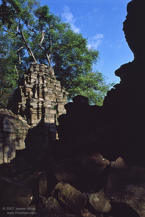 t_1200_0519-2.JPG