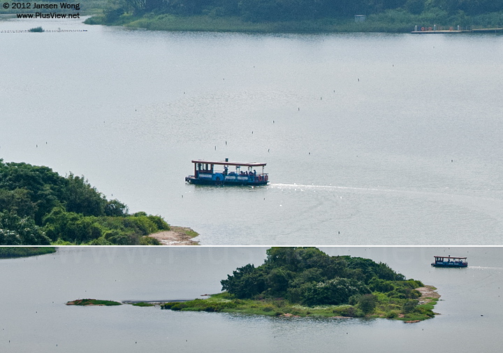 华侨城湿地北湖湖心岛周围，以及通往北岸西北角码头的航道航标