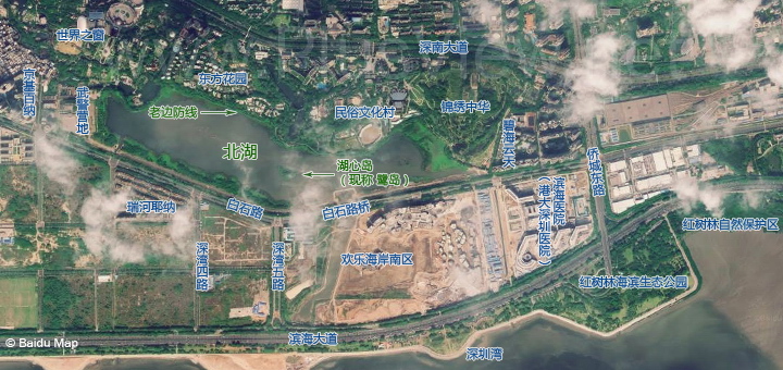 2010年拍摄的华侨城湿地周边卫星图片